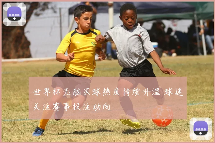 世界杯无脑买球热度持续升温 球迷关注赛事投注动向