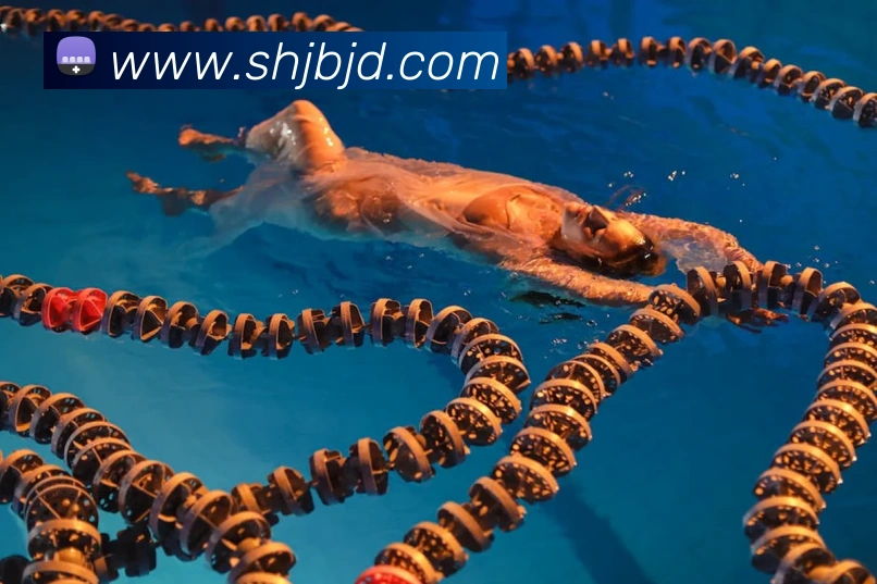 多媒体互动体验