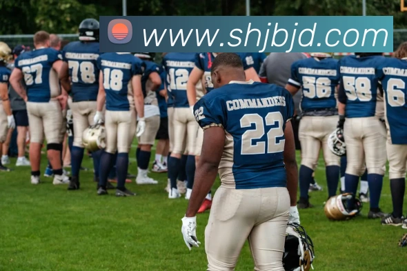 pg娱乐电子游戏平台入口APP 体育赛事宣传图